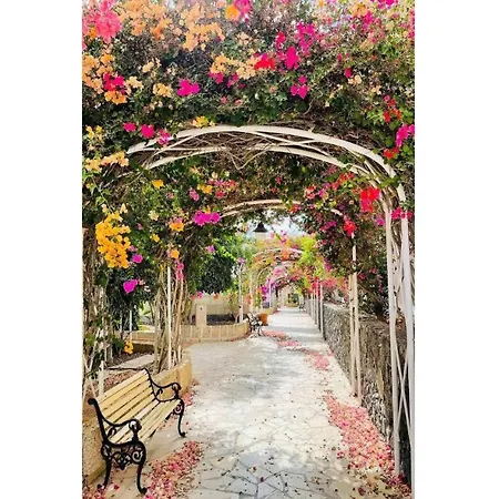 Palma Σπίτι διακοπών Chayofa